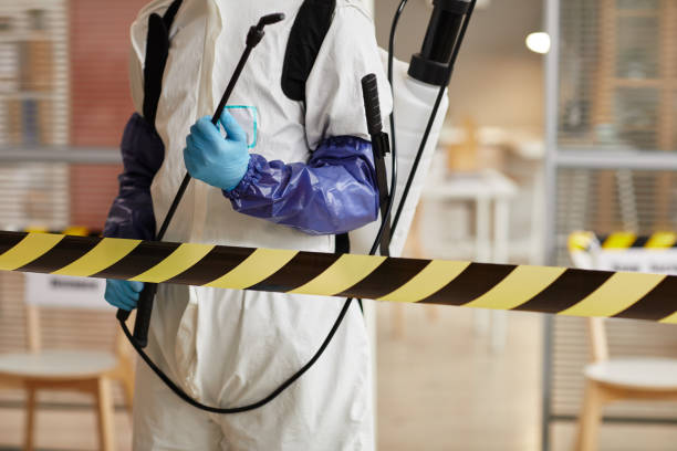 Professional Sewage Cleanup technician working in Six Lakes, MI